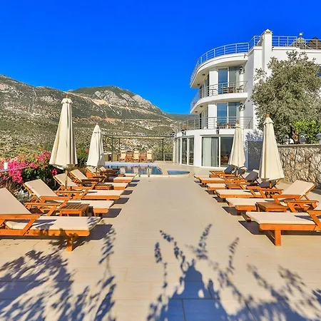 Selimoglu Kalkan