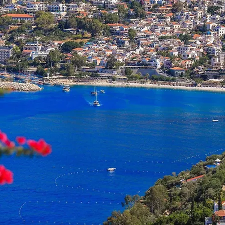Selimoglu Kalkan
